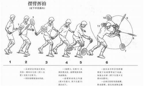 羽毛球八大技术动作_羽毛球各项技术